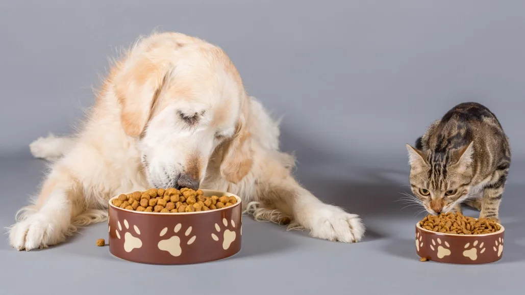 Expert Pet Nutrition Services At Grand Ave Vet Clinic - PetNutrition - Grand Ave Pet Hospital